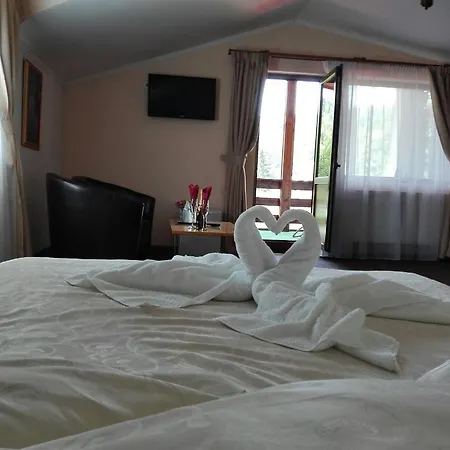New Aosta Garden 3* Sinaia